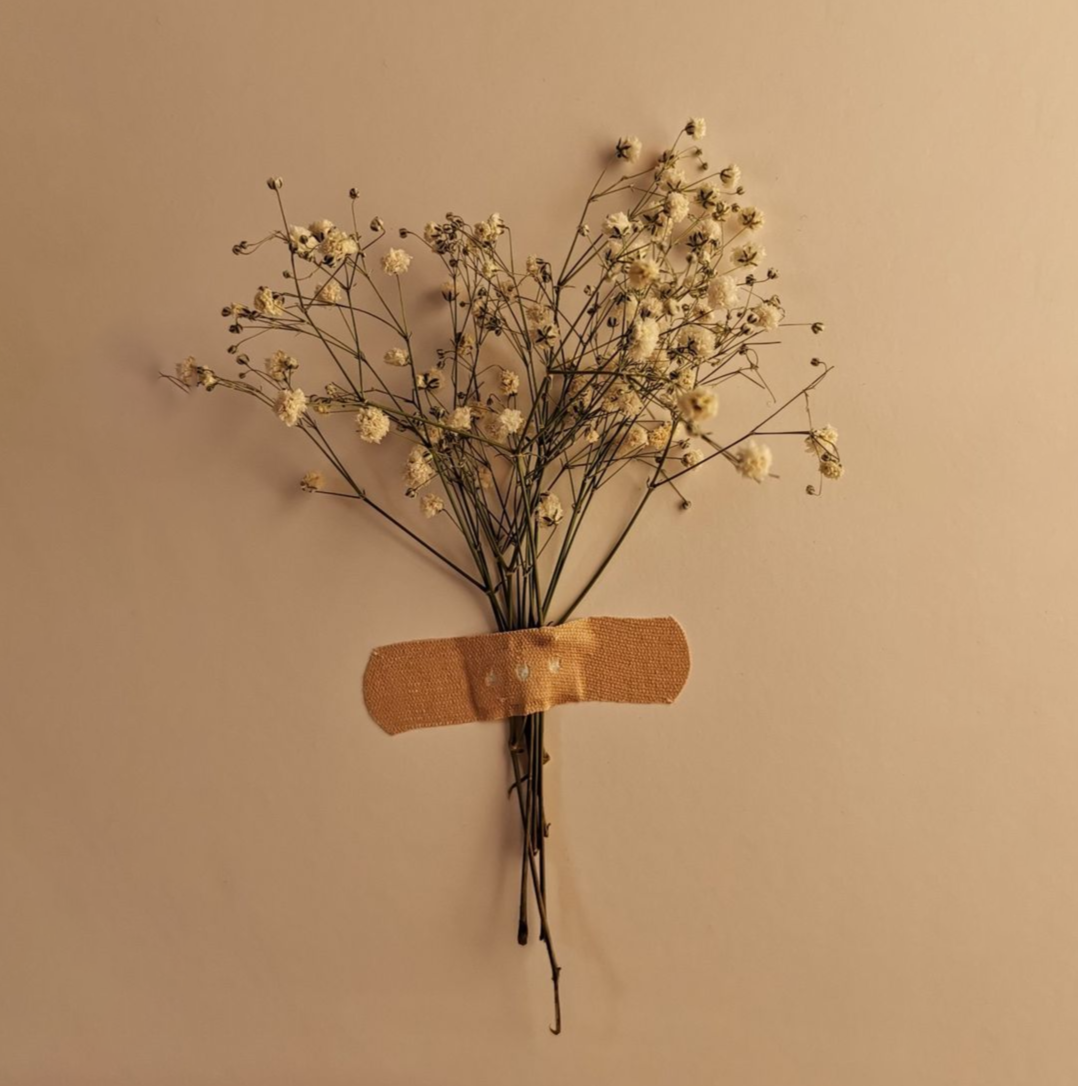 Bouquet of dried baby\x27s breath flowers taped to a wall with a beige bandage, creating a minimalistic and rustic display.