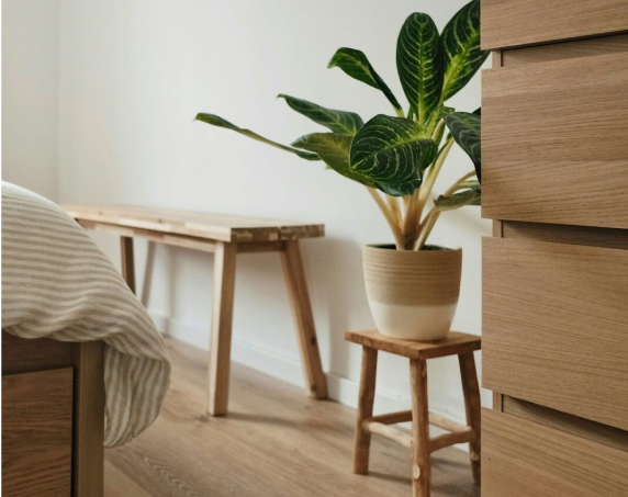 Indoor plant in a beige pot placed on a wooden stool next to a minimalist wooden bench and drawer unit in a cozy, well-lit room with wooden flooring.